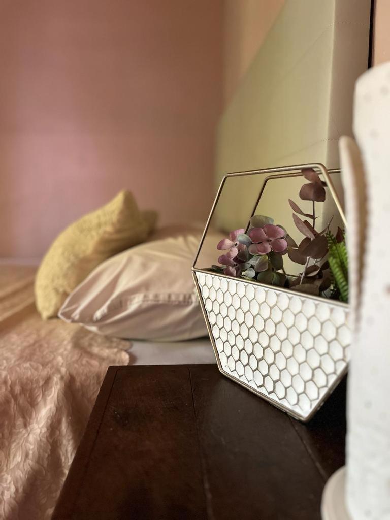 La Selva Monoambientes Apartment Пуерто Игуасу Екстериор снимка